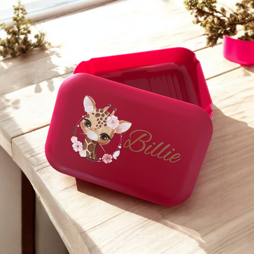 Amuse Lunchbox Medium
